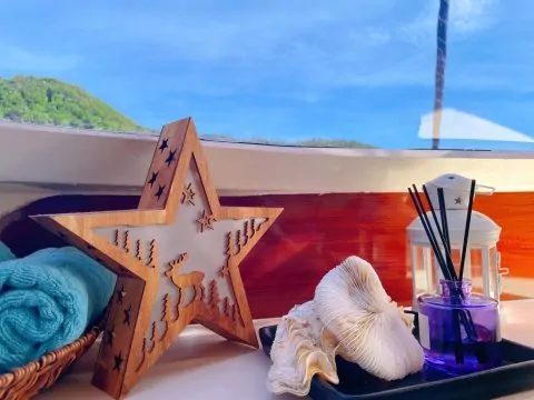 Катамаран ZOE 46FT