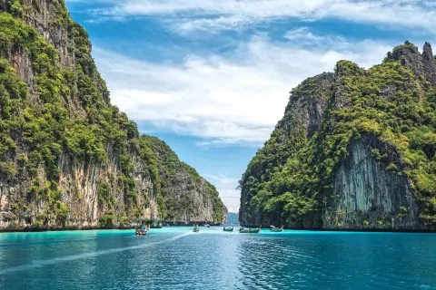 PHI PHI – BAMBOO