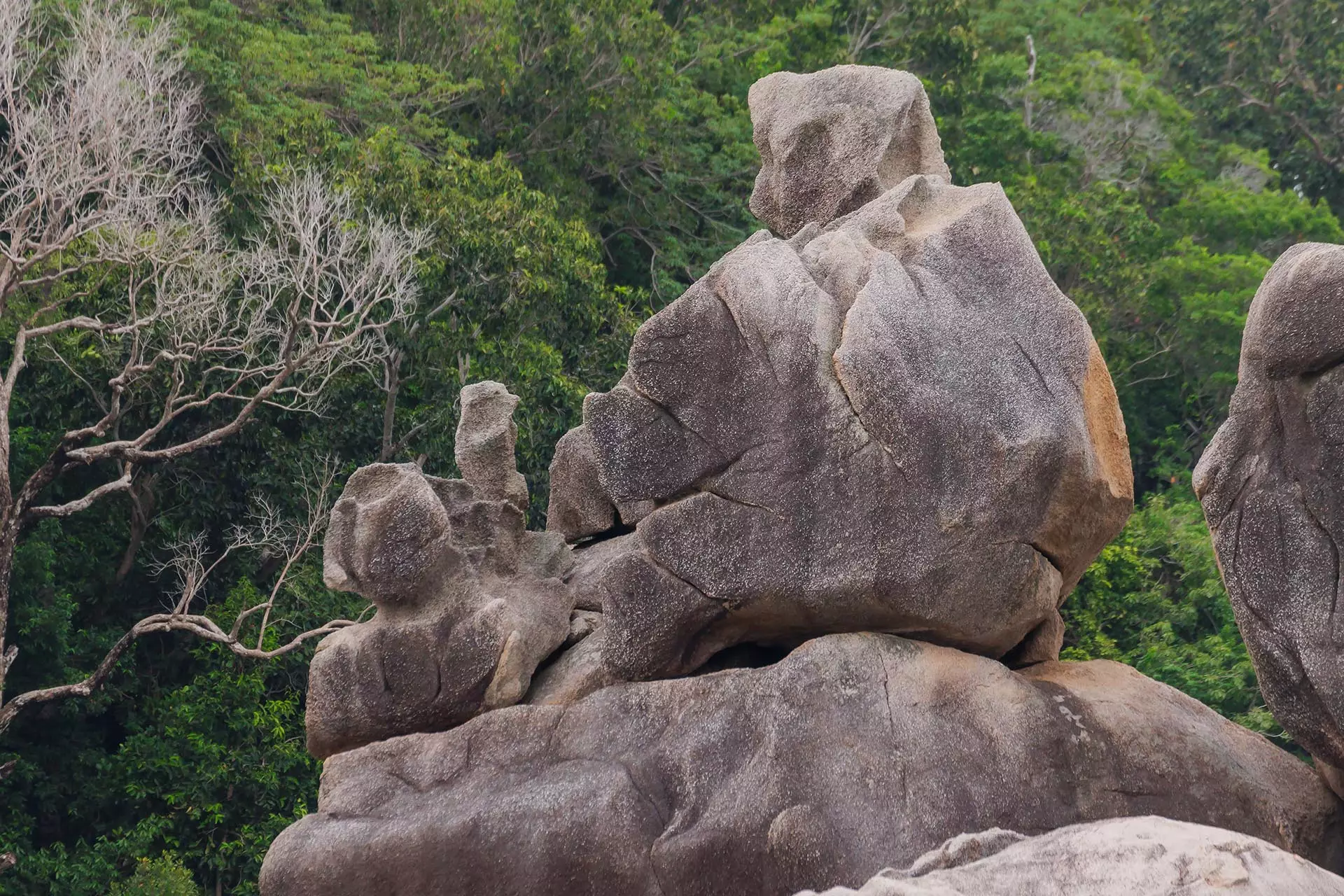Экскурсии на Симиланские острова
