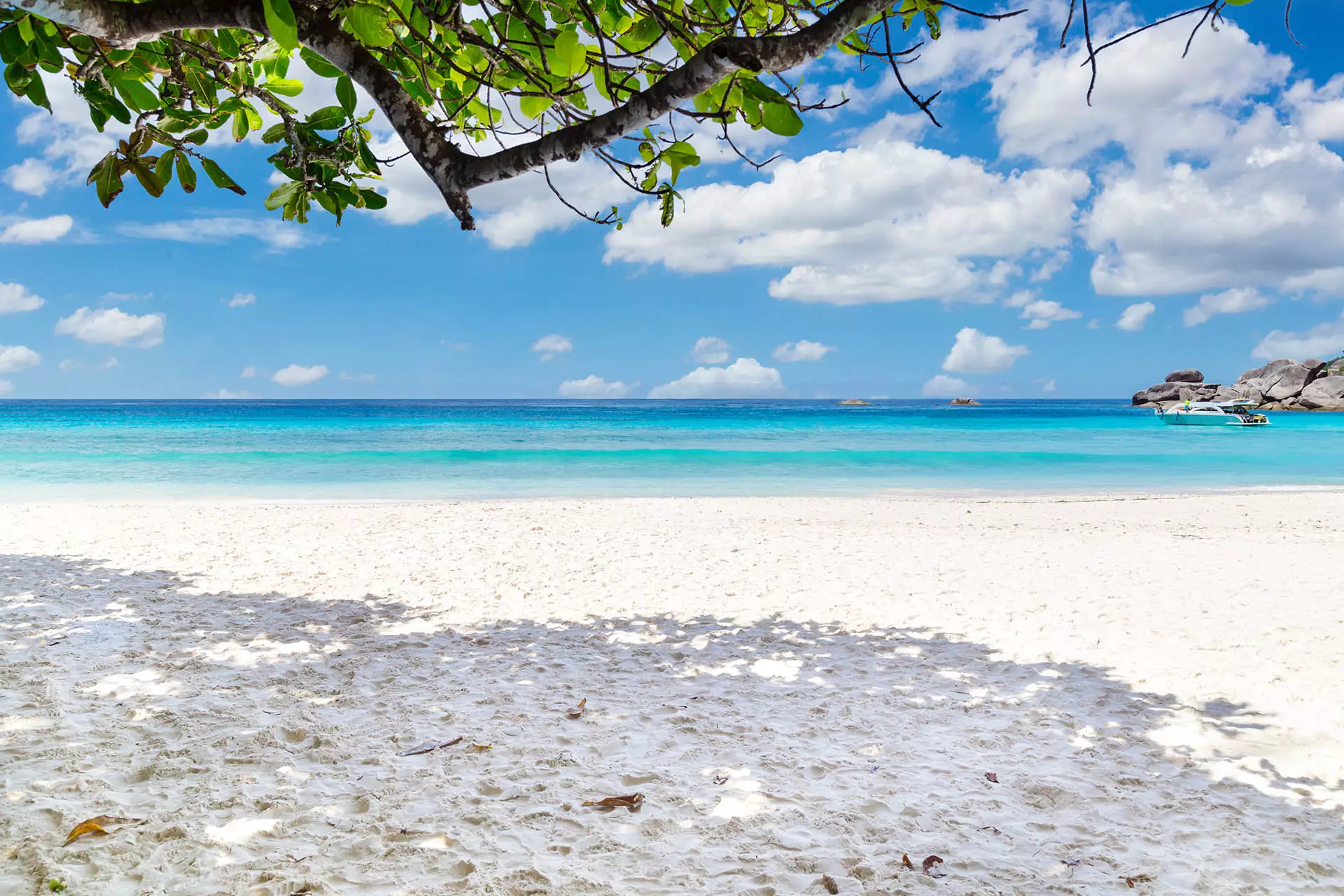 Экскурсии на Симиланские острова